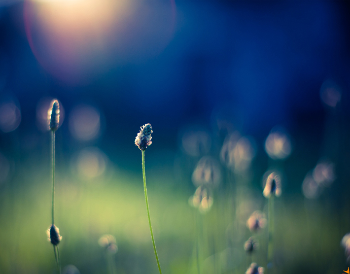 Impressum Hauptgrafik